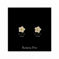 Roseta Pro 10k