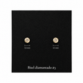 Bisel Diamantado #3 10k