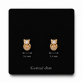 Gatita/chat 10k