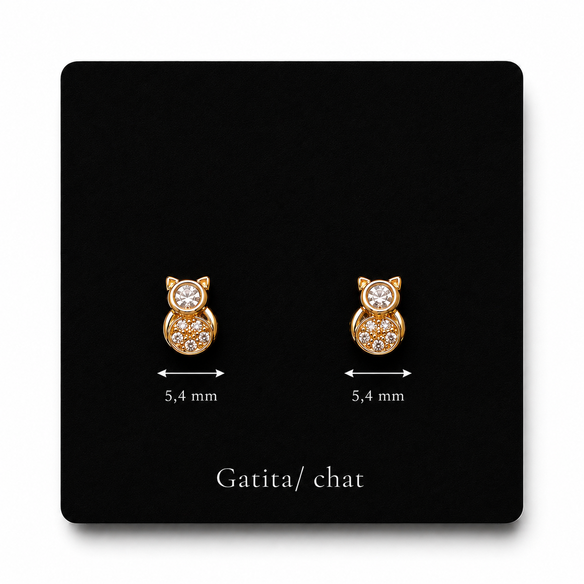 Gatita/chat 10k